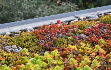 the cost of Kenovay green roof installation